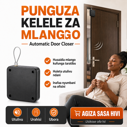 Automatic Door Closer Original