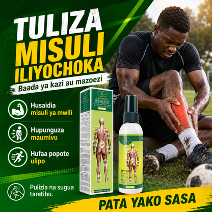Pain Relief Spray Original