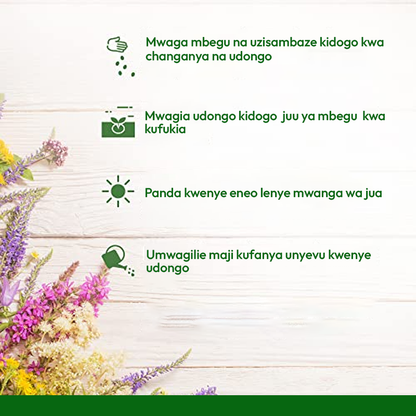 Flower Seeds Natural 100%