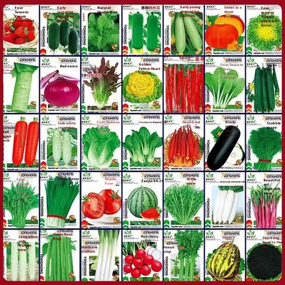 Vegetable Seeds