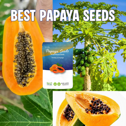 Papaya seeds