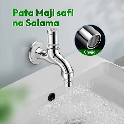 Anti Theft Water Tap