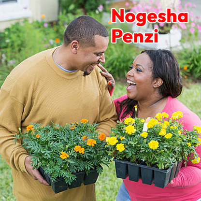 Flower Seeds Natural 100%