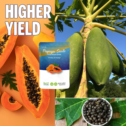 Papaya seeds