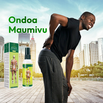 Pain Relief Spray 100% Natural*
