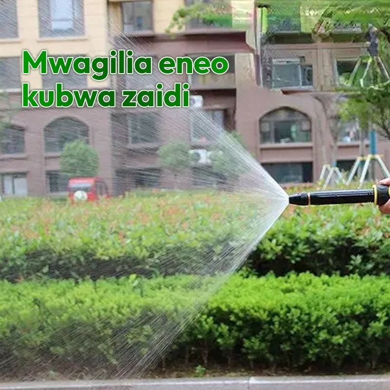 Car Water Gun LM