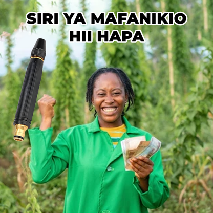 Car Water Gun original