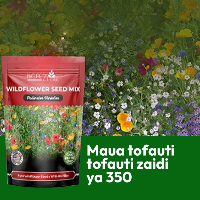 Flower Seeds