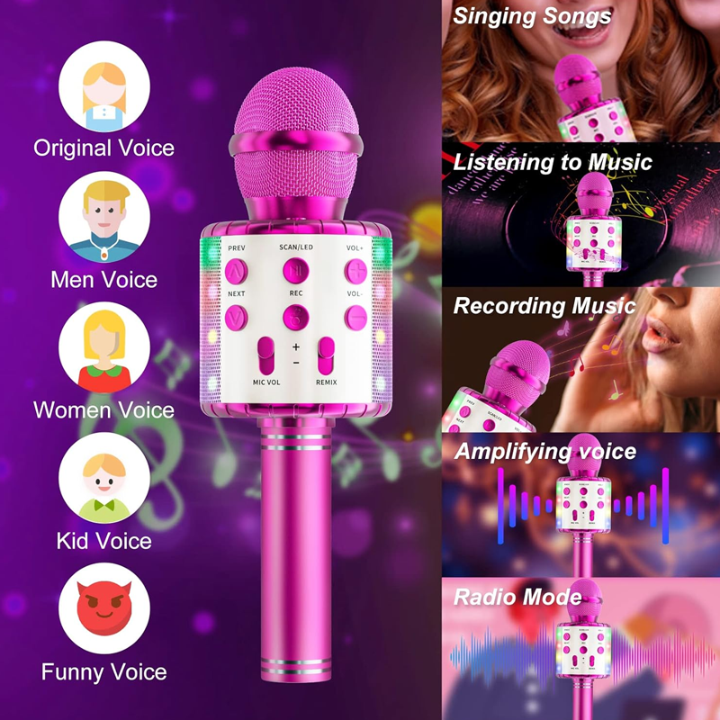 Karaoke Microphone