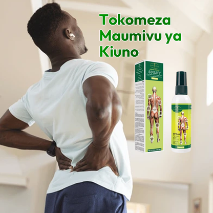 Pain Relief Spray (FM)