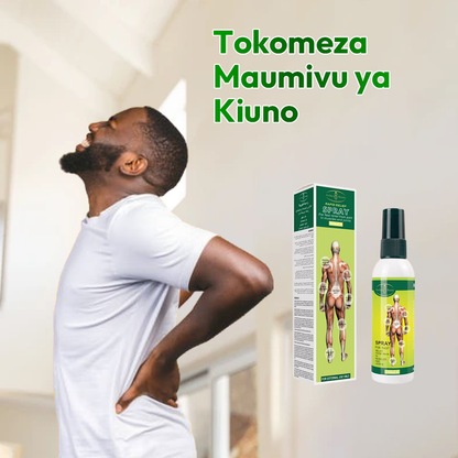 Pain Relief Spray 100% Natural*