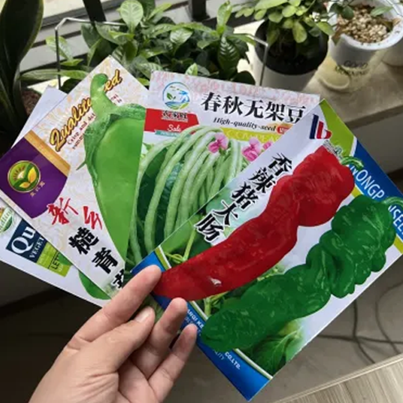Vegetable Seeds