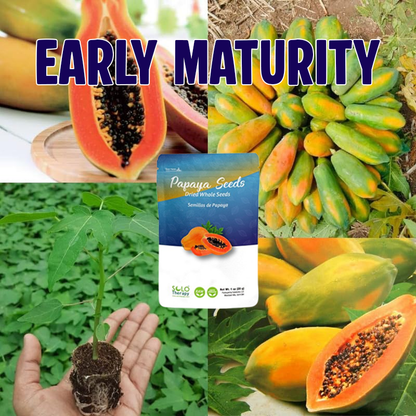 Papaya seeds