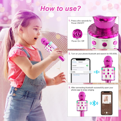 Karaoke Microphone