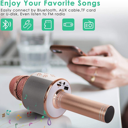 Karaoke Microphone