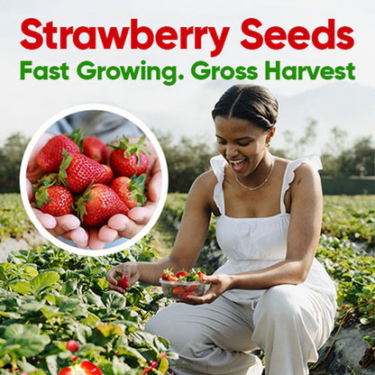Strawberry Seeds - 100%
