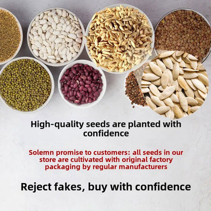 Strawberry Seeds - 100%