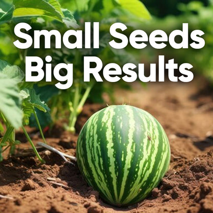 Watermelon Seeds - 100%